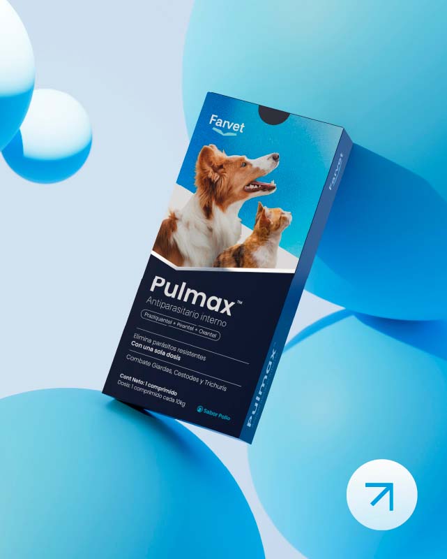 Diseño de packaging