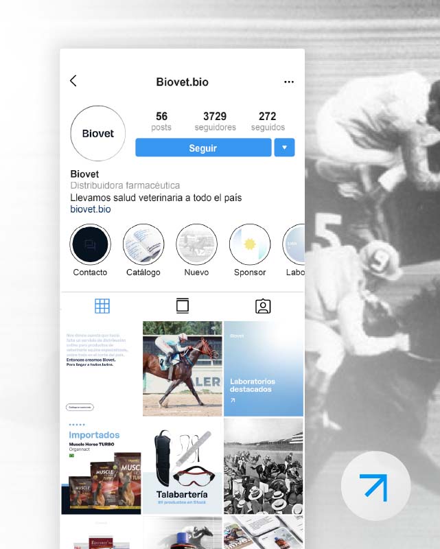 Diseño de redes sociales